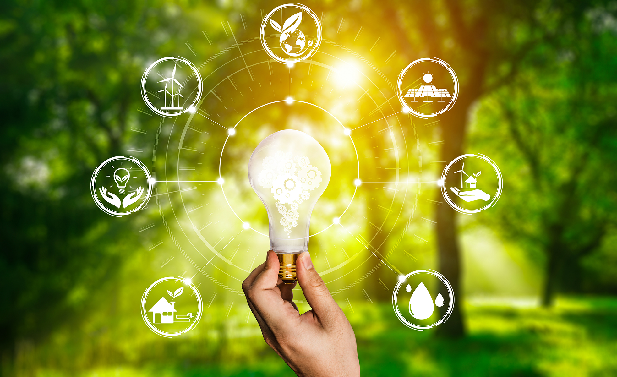 Démarche RSE - Reflexe Durable Conseils
