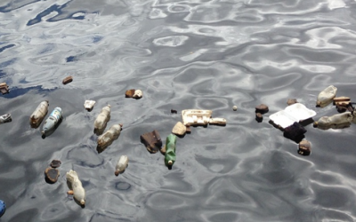 Les déchets plastiques : ils sont le plus grand ennemi de nos océans